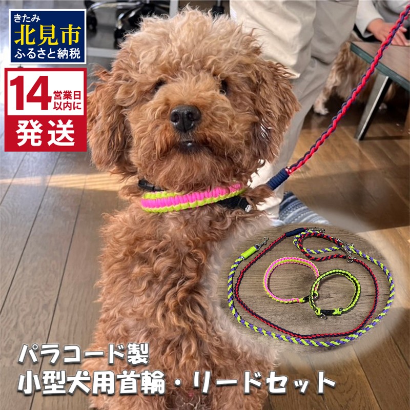 《14営業日以内に発送》小型犬用首輪 2個 リード 2本 4点セット ( ペット 犬 小物 わんこ 手作り 首輪 リード )【195-0003】