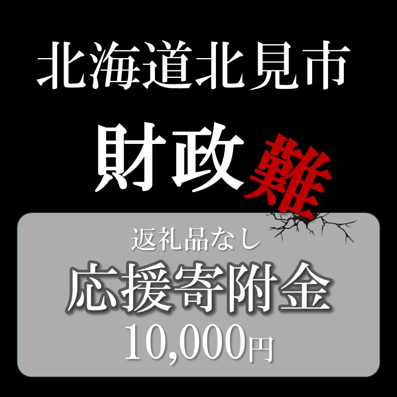 【返礼品なし】北海道北見市 応援寄附(10,000円分)【223-0004】