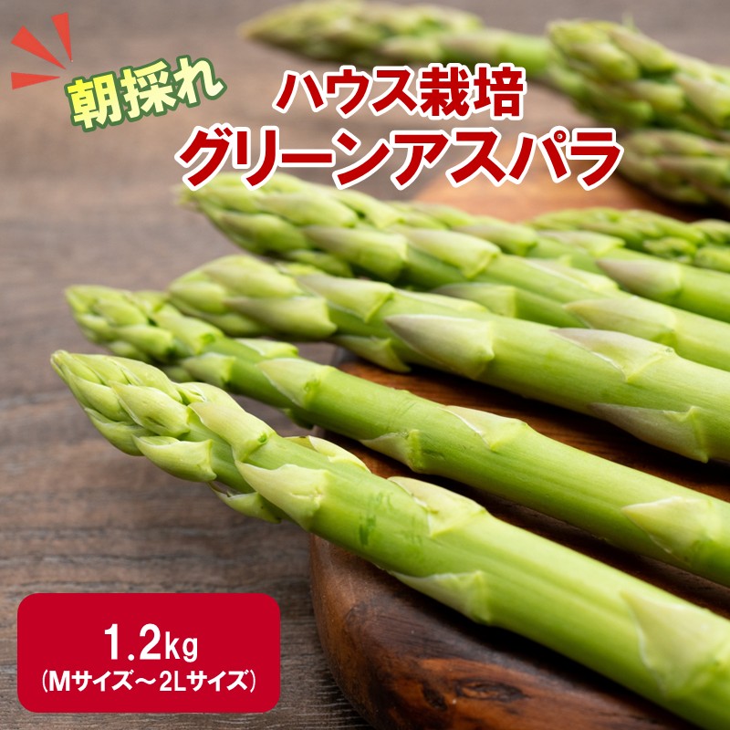 【予約：2026年4月中旬から順次発送】ハウス栽培 グリーンアスパラ 1.2kg ( アスパラガス 野菜 新鮮 朝採れ )【231-0001】