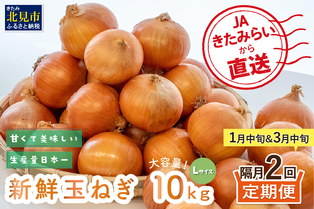 ☆L玉隔月定期便(1月・3月)☆JAきたみらいから直送する新鮮玉ねぎ 10kg(L)×2回 ( 野菜 定期便 玉葱 たまねぎ 期間限定 )【999-0007-2025】