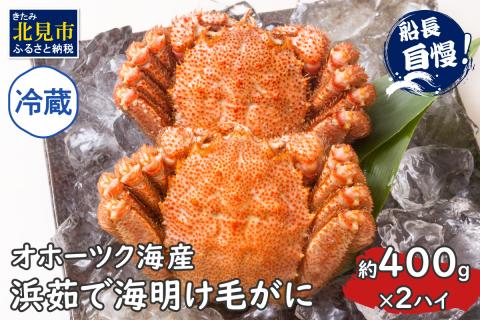 【予約：2024年3月下旬から順次発送】【旬の浜ゆで毛ガニを冷蔵便で】オホーツク海産 浜茹で海明け毛がに 約400g×2ハイ ( かに 蟹 魚介類 海鮮 )【114-0029-2024】