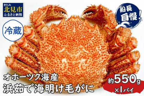 【予約：2024年3月下旬から順次発送】【旬の浜ゆで毛ガニを冷蔵便で】オホーツク海産 浜茹で海明け毛がに 約550g×1パイ ( かに 蟹 魚介類 海鮮 )【114-0027-2024】