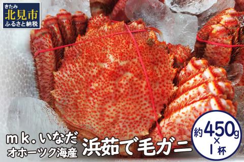 オホーツク海産 浜茹で毛ガニ 約450g×1杯 ( 海鮮 かに カニ 蟹 毛ガニ ボイル 贈答 ギフト 急速冷凍 )【113-0005】:  北見市ANAのふるさと納税