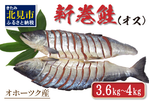 オホーツク産新巻鮭 オス 切身 約3.6～4kg ( さけ サケ 切り身 パック 小分け 真空パック 塩漬け 鮭 ムニエル 甘塩 フライ 魚介類 魚 海鮮 )【017-0015】