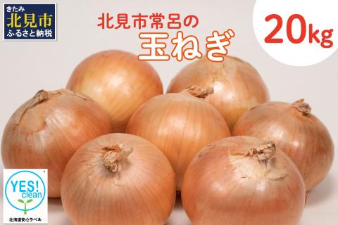 北海道安心ラベル「Yes!clean」認証！北見市常呂の玉ねぎ 20kg ( たまねぎ 野菜 期間限定 )【009-0001-2024】