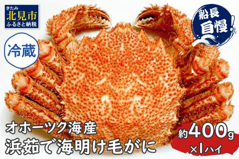 [予約:2024年3月下旬から順次発送][旬の浜ゆで毛ガニを冷蔵便で]オホーツク海産 浜茹で海明け毛がに 約400g×1パイ ( かに 蟹 魚介類 海鮮 )[114-0017-2024]