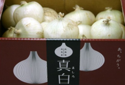 北海道 JAきたみらい「真白たまねぎ」3kg ( 期間限定 野菜 たまねぎ 玉葱 )[005-0002-2023]
