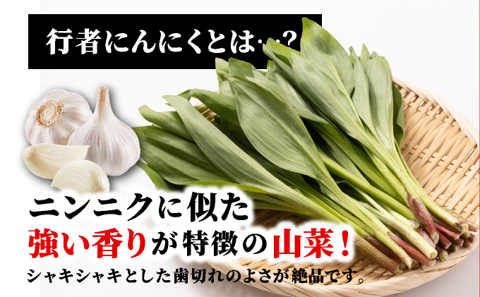 行者にんにくセット（生の行者にんにく葉・行者にんにくぴりから醤油漬けのセット）[a107-034]