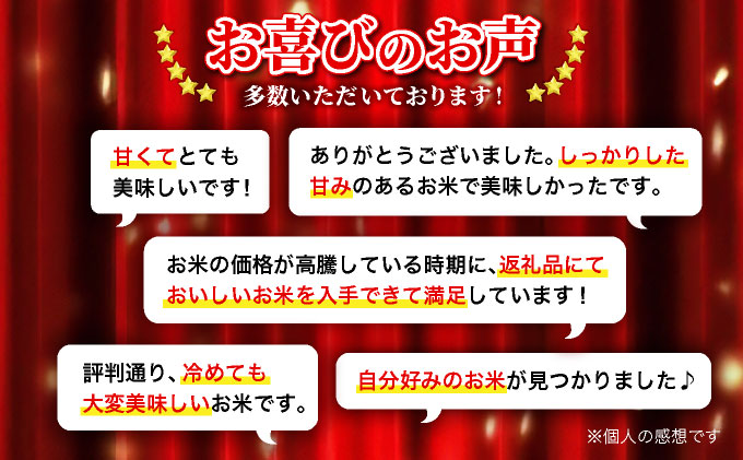 令和6年産 北海道一の米処“岩見沢”の自信作! ななつぼし5kg＆ゆめぴりか5kg×2回 合計20kg ※定期便 [a109-018]