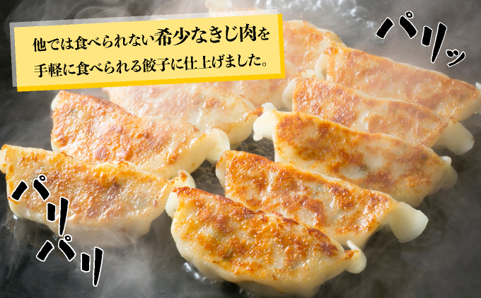 宝きじのぎょうざ（15個入り×2袋） [a120-006]