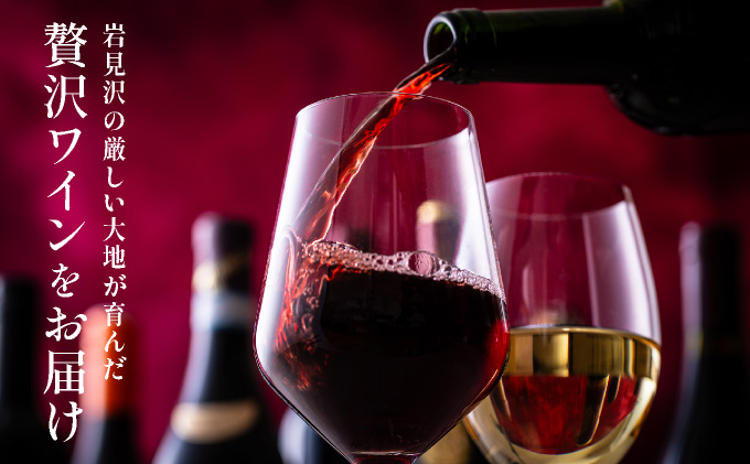 北海道岩見沢市の風土を生かした宝水ワイナリーワイン２本セット（白・ロゼ）【31101】[a122-001]