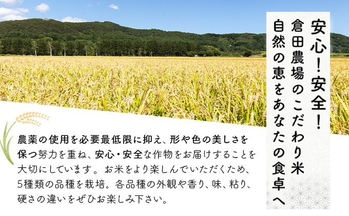 5ヶ月定期便 令和6年産北海道岩見沢産米 ななつぼし精米5kg≪沖縄・離島配送不可≫[a124-029]