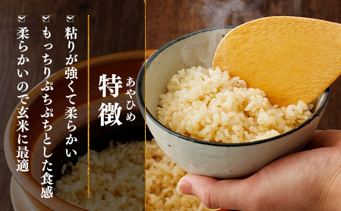 楽チン♪あやひめ玄米ごはん150g×20個【35045】[a124-024]