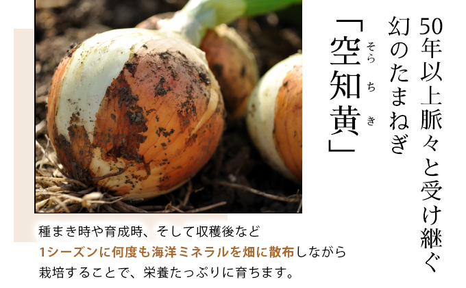 真珠の玉葱 空知黄10kg ≪海のミネラルで育てた幻の玉葱空知黄≫【50106】[a134-006]