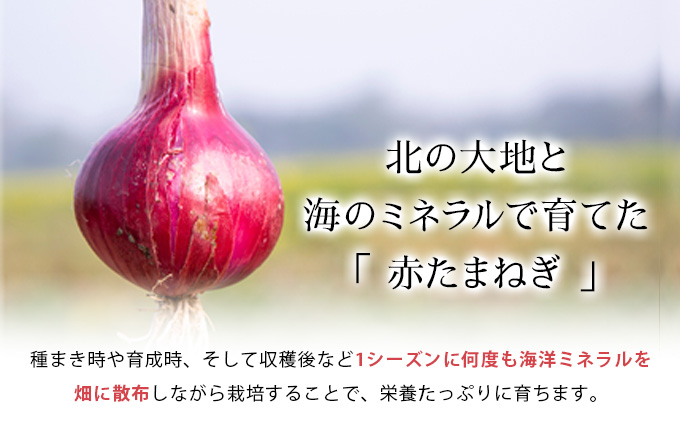真珠の玉葱 赤玉葱Lサイズ10玉 ≪海のミネラルで育てた特別栽培玉葱≫【50107】[a134-007]