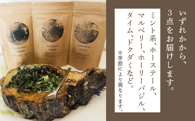 ≪数量限定！≫森のハーブティーセット(3点合計39g)【無農薬・化学肥料不使用】【51102】[a135-001]