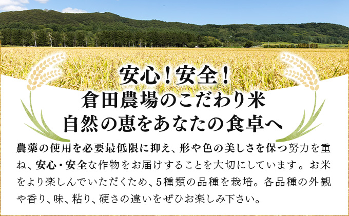 令和7年産北海道岩見沢市産　あやひめ精米5kg≪沖縄・離島配送不可≫ a124-032-R7