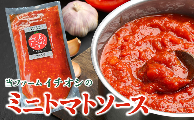 空知の恵みをギュッと凝縮 そらちのしずくトマトソース ２袋【a127-006】