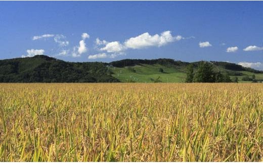 令和7年産【無洗米】食べ比べ12kgセット(ゆめぴりか2kg・ななつぼし2kg・ふっくりんこ2kg・おぼろづき2kg・あやひめ2kg・ゆきさやか2kg)【39128】【a128-078】