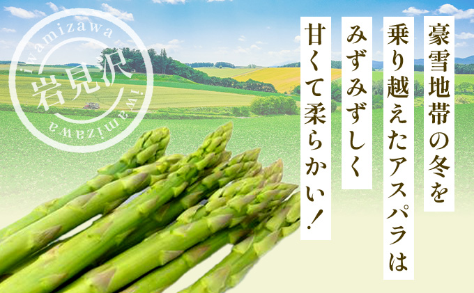 北海道岩見沢産グリーンアスパラ 2Lサイズ1kg[a142-002]