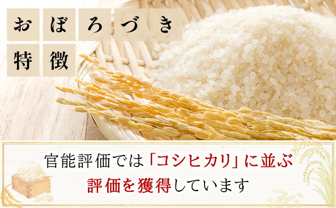 令和7年産!ファーム坂口の特別栽培米 おぼろづき精米 10kg(5kg×2)