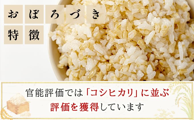 令和7年産!ファーム坂口の特別栽培米 おぼろづき玄米 10kg(10kg×1)
