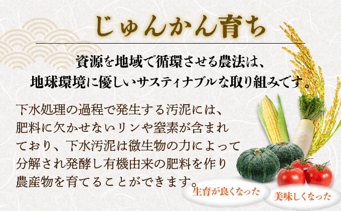 峯さんのじゅんかん育ちⓇ ゆきさやか 5kg[a155-002]