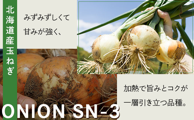 【先行予約】畑から直送の新鮮野菜！玉ねぎ（SN-3）5kg【a168-001】