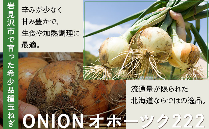 【先行予約】畑から直送の新鮮野菜！玉ねぎ（オホーツク222）20kg【a168-006】