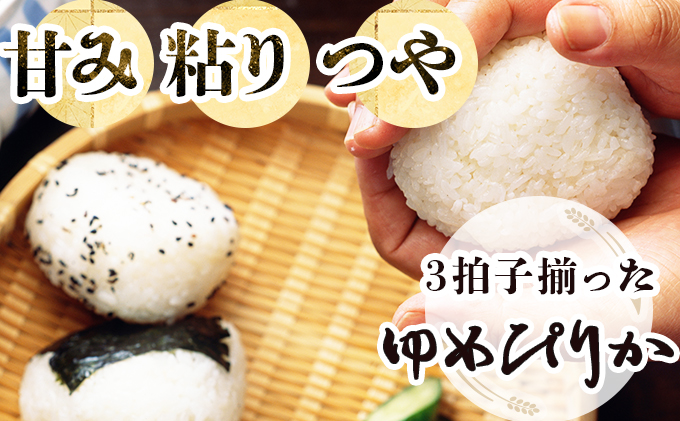 『100%自家生産精米』善生さんの自慢の米 ゆめぴりか5kg※一括発送【06123】[a104-101]