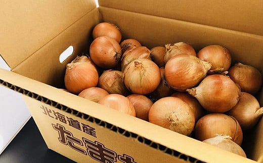 北海道岩見沢市産 玉ねぎMサイズ10kg【09126】[a107-027]