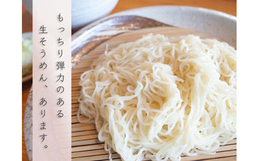 これぞ本物の生の味!元祖生そうめん4食×3箱（鮭節冷つゆ味×12）【16110】[a113-002]