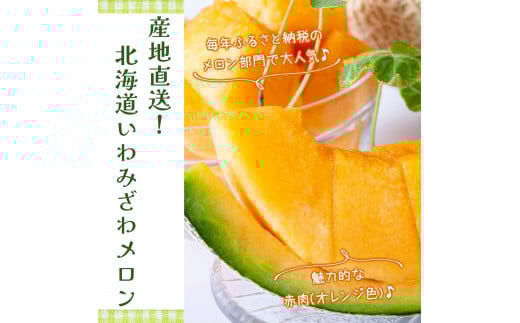 ＜先行予約＞産地直送！北海道『いわみざわメロン2玉（赤肉）』2026年夏にお届け！【18106】[a115-028]