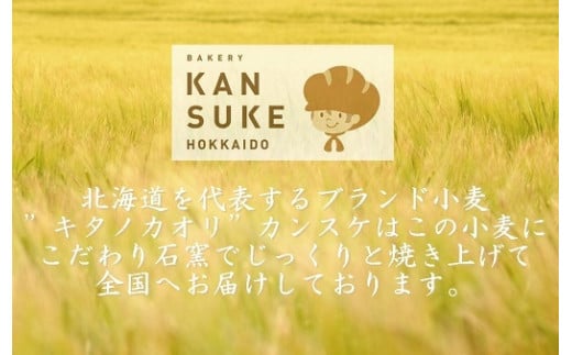 ワインに合うパンセット石窯焼き全粒粉ブールパンとチーズパン【19103】[a116-003]