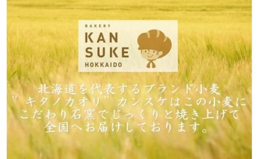【定期便】こだわりの石窯で焼いたカンスケの北海道産小麦お任せパンセット（年6回お届け）【19121】[a116-021]