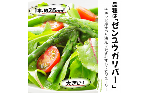 【先行予約/令和7年産】北海道岩見沢産　夏グリーンアスパラ　L～2Lサイズ 1kg【41104】[a129-002]