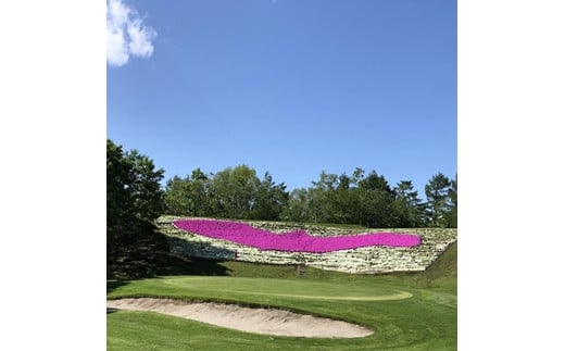 岩見沢パブリック雉ヶ森ゴルフコース カップ位置指定及びカップ切り体験・プレー券【48101】[a133-001]