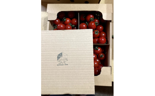 ≪先行予約≫ 完熟ミニトマト キャロルスター 2kg [a144-001]