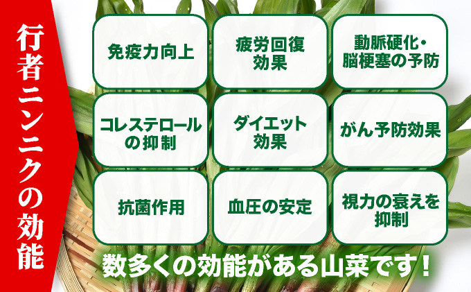 行者にんにくセット（生の行者にんにく葉・行者にんにくぴりから醤油漬けのセット）[a107-034]