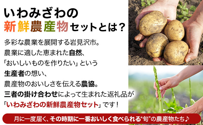 いわみざわの新鮮農産物セット(5or6月～11月 全6回)※定期便【11106】[a109-006]