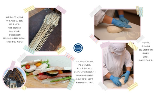 キタノカオリ小麦のカンパーニュ3本セット【24022】[a118-001]