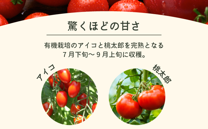 ほのぼのファーム・トマトジュース【26101】[a119-002]