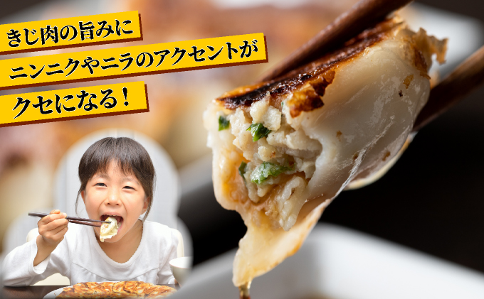 宝きじのぎょうざ（15個入り×2袋） [a120-006]