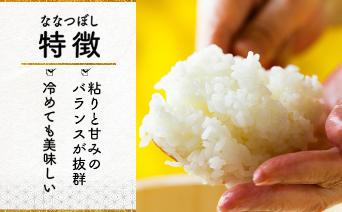 5ヶ月定期便 令和6年産北海道岩見沢産米 ななつぼし精米5kg≪沖縄・離島配送不可≫[a124-029]