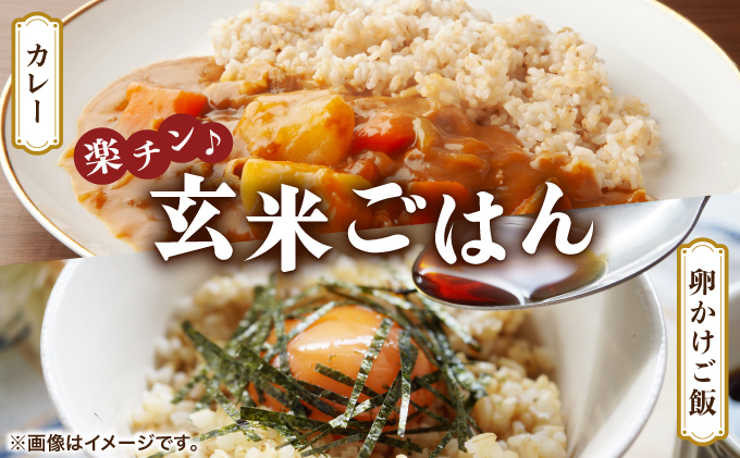 楽チン♪あやひめ玄米ごはん150g×20個【35045】[a124-024]