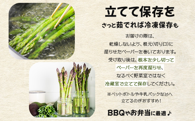 【先行予約/令和7年産】北海道岩見沢産　春グリーンアスパラ　2Lサイズ 1kg [a129-003]