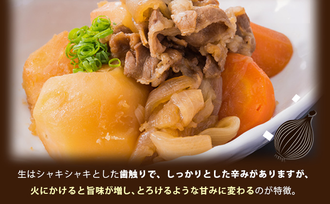 真珠の玉葱 Lサイズ5kg ≪海のミネラルで育てた玉葱≫【50103】[a134-003]