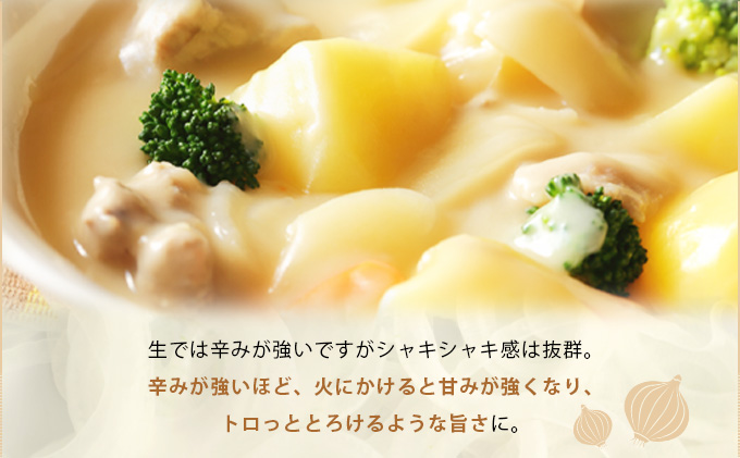 真珠の玉葱 空知黄 5kg ≪海のミネラルで育てた幻の玉葱空知黄≫【50105】[a134-005]