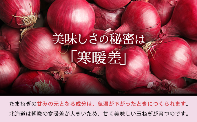 真珠の玉葱 赤玉葱Lサイズ10玉 ≪海のミネラルで育てた特別栽培玉葱≫【50107】[a134-007]
