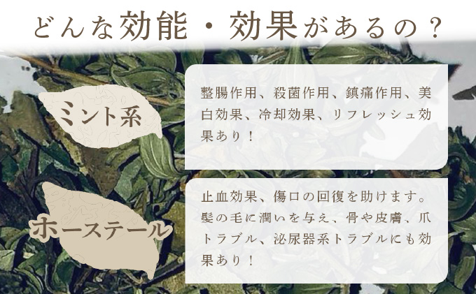 森のハーブティーセット(3点合計39g)　1ヶ月に1回のお届け　計6回 [a135-003]